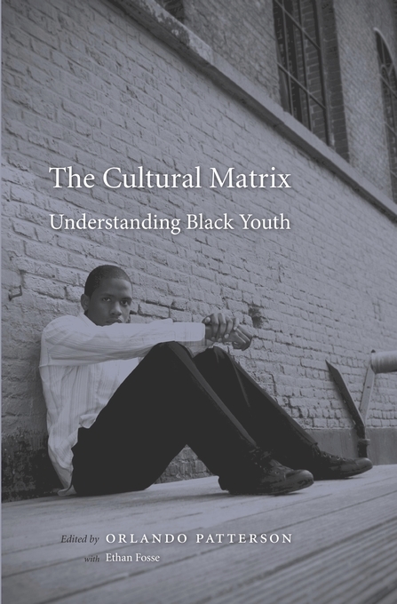 The Cultural Matrix