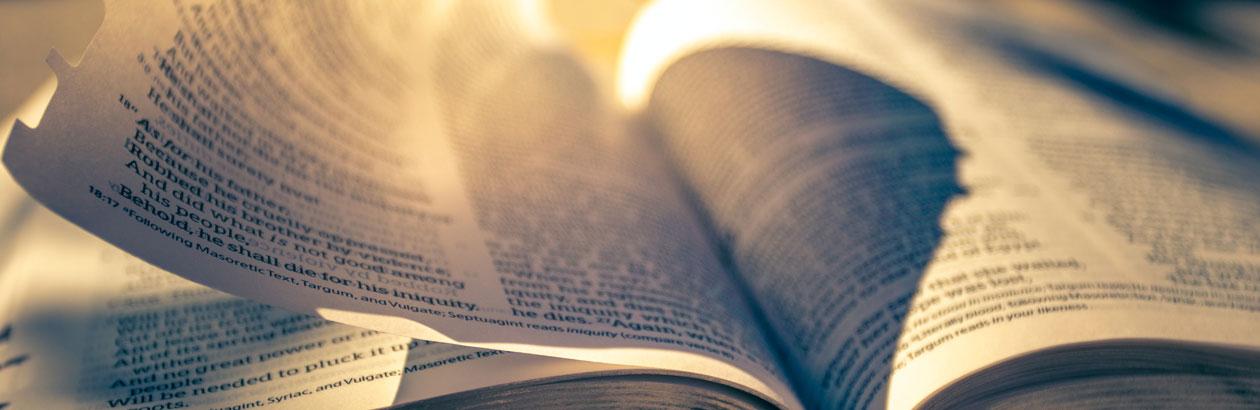 How the Bible Means
